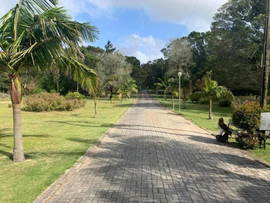 Palm Villa Port Elizabeth Dış mekan fotoğraf